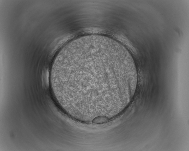 X0000112410014200909110959