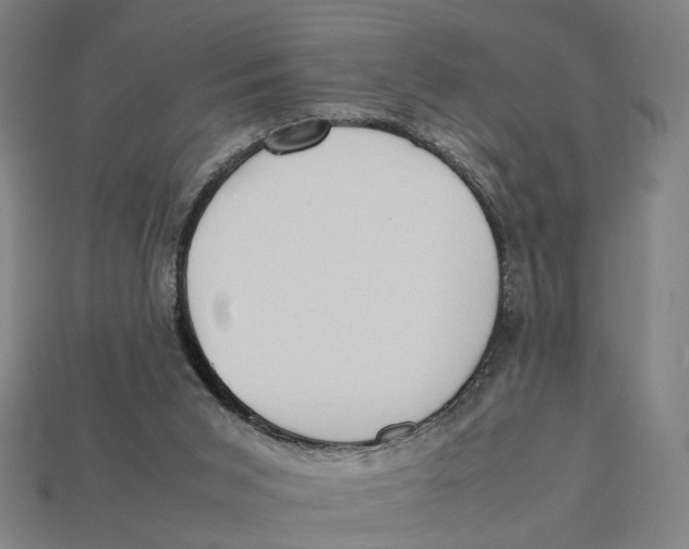 X0000112410015200909110959