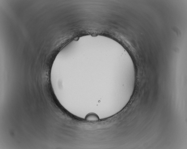 X0000112410017200909110959
