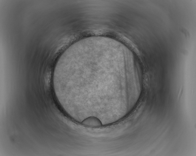 X0000112410018200909110959