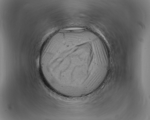 X0000112410019200909110959