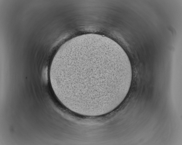 X0000112410020200909110959