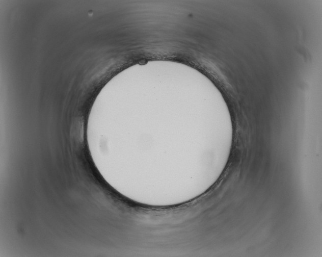 X0000112410021200909110959
