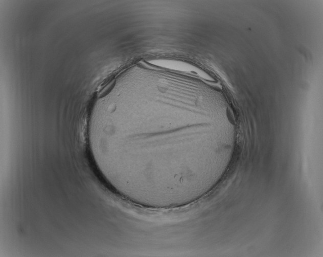 X0000112410023200909110959