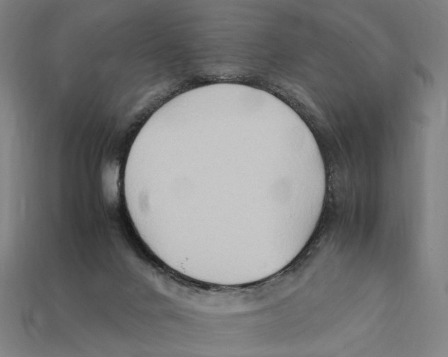 X0000112410024200909110959