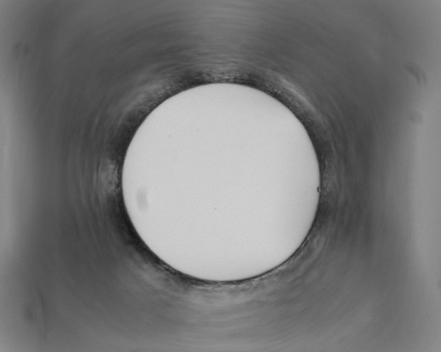 X0000112410025200909110959