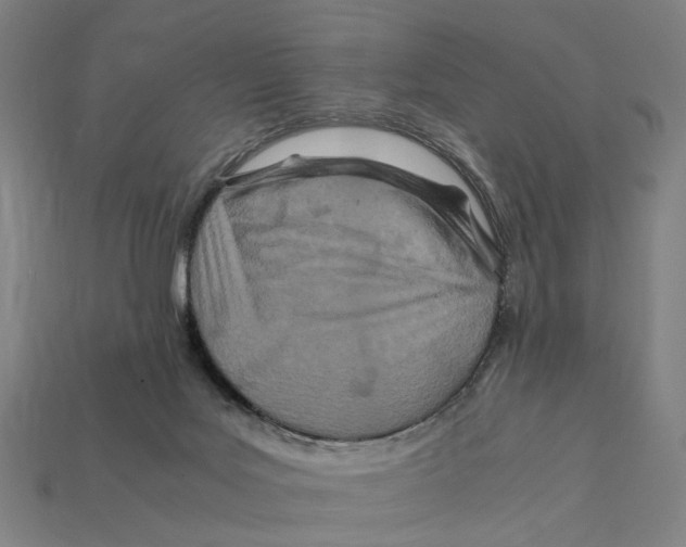 X0000112410027200909110959