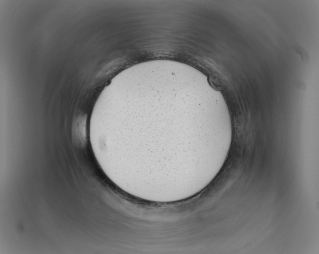 X0000112410028200909110959