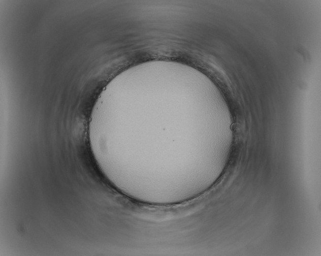 X0000112410029200909110959