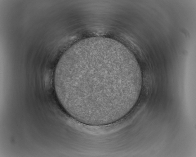 X0000112410030200909110959