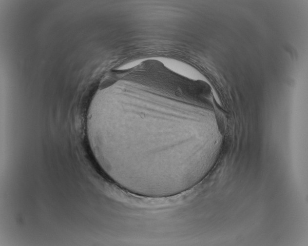 X0000112410031200909110959