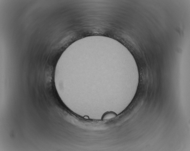 X0000112410032200909110959