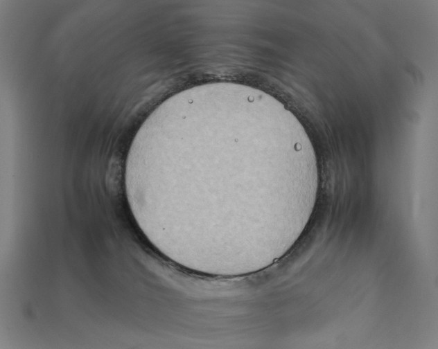 X0000112410036200909110959