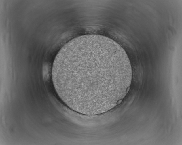 X0000112410038200909110959