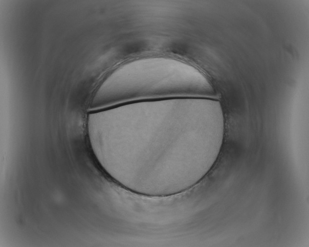 X0000112410039200909110959