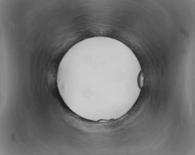 X0000112410040200909110959