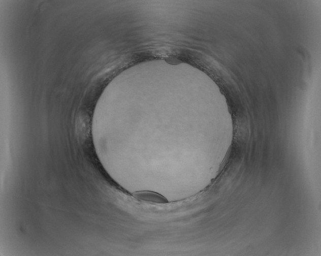 X0000112410043200909110959