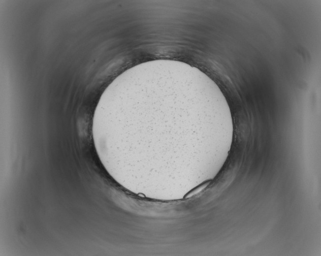X0000112410044200909110959