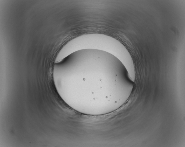 X0000112410045200909110959