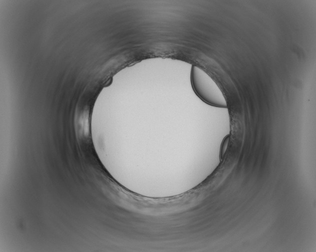 X0000112410046200909110959
