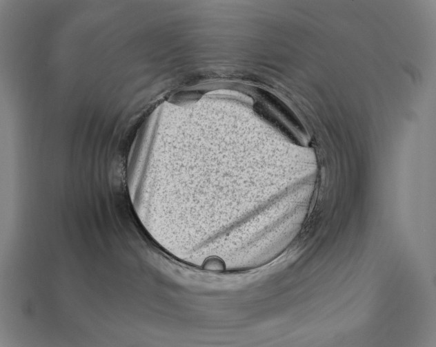 X0000112410048200909110959