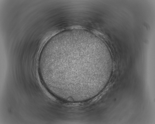 X0000112410049200909110958