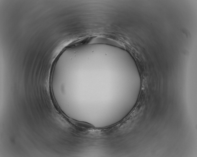 X0000112410052200909110958