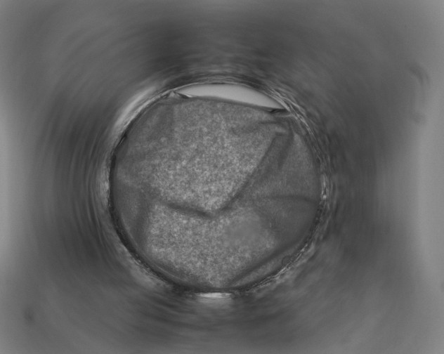 X0000112410053200909110958