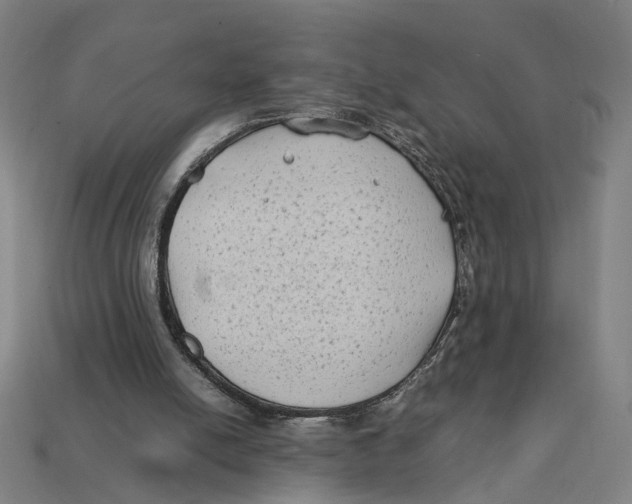 X0000112410054200909110958