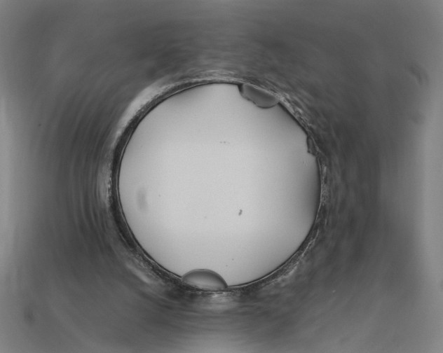 X0000112410056200909110958