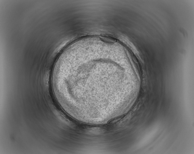 X0000112410058200909110958