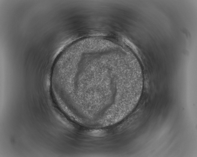 X0000112410059200909110958