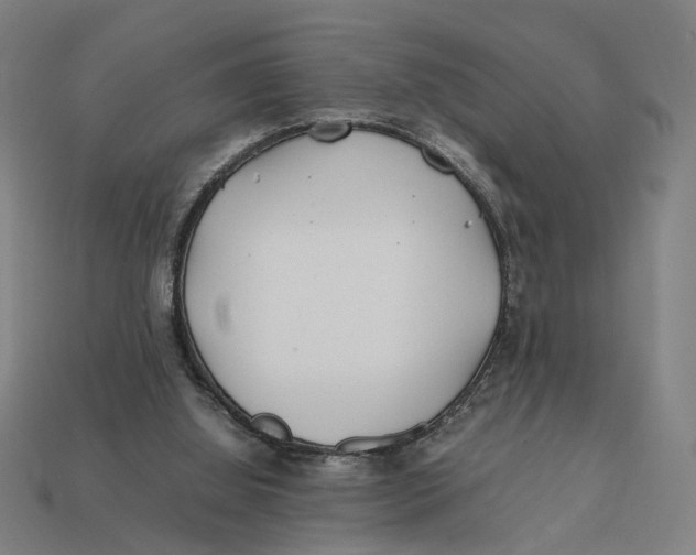 X0000112410060200909110958