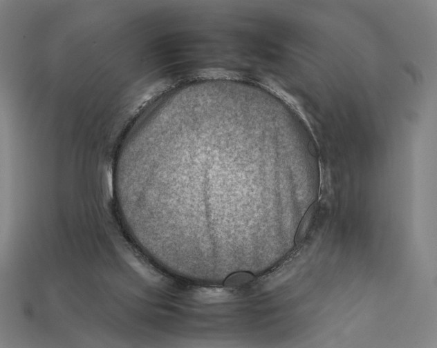 X0000112410061200909110958