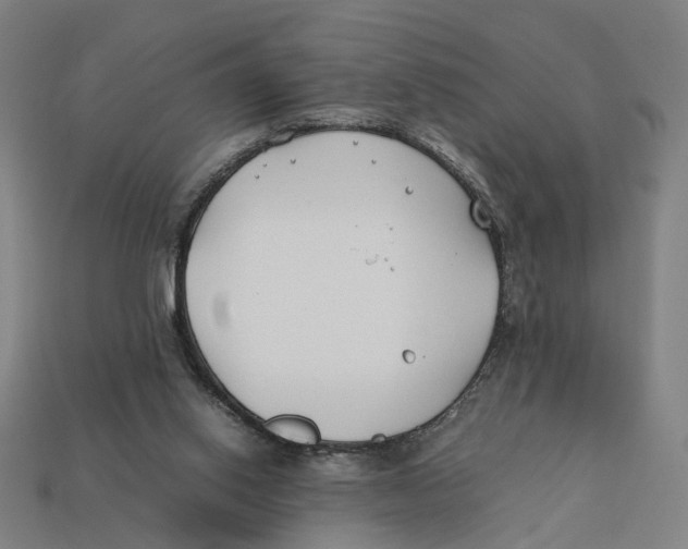 X0000112410062200909110958