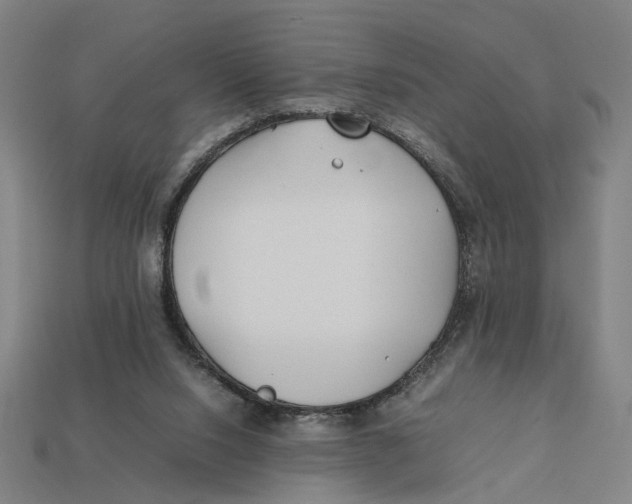 X0000112410064200909110958