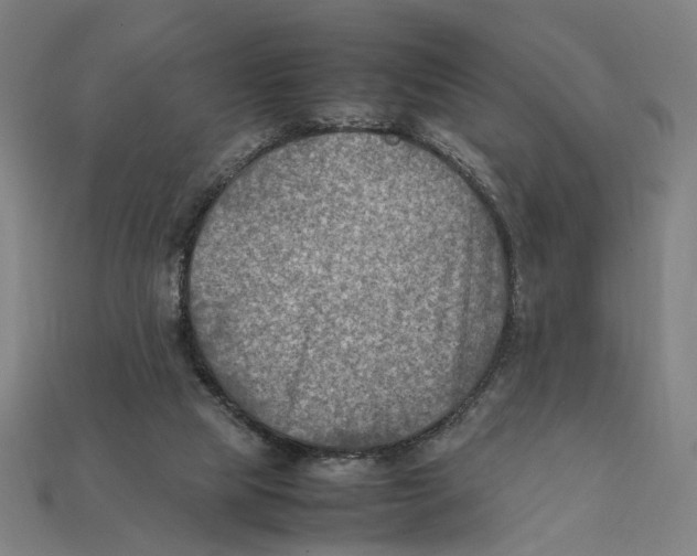 X0000112410065200909110958