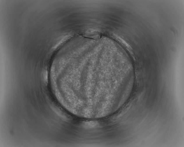 X0000112410067200909110958