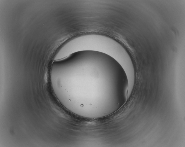 X0000112410068200909110958