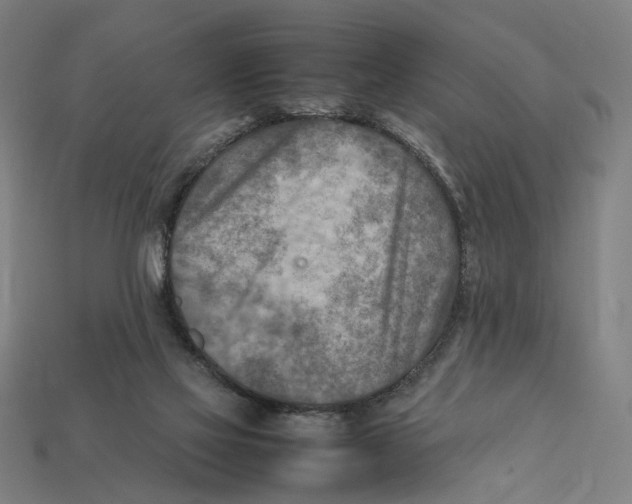 X0000112410069200909110958
