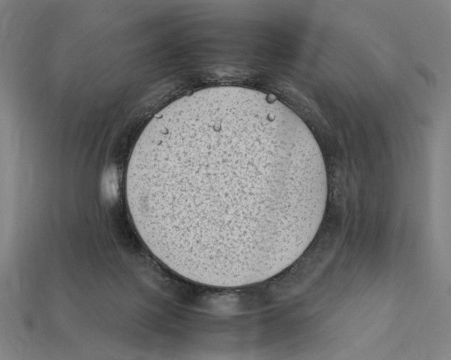 X0000112410075200909110958