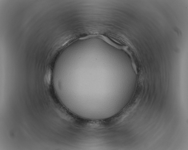 X0000112410076200909110958