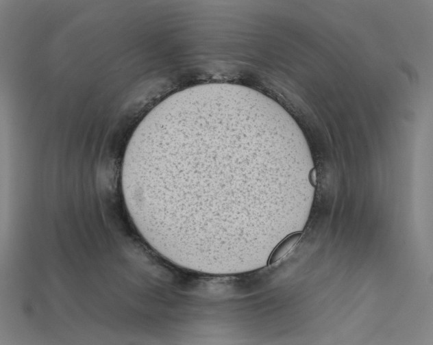 X0000112410078200909110958