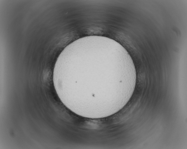 X0000112410079200909110958