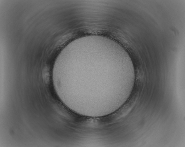 X0000112410080200909110958
