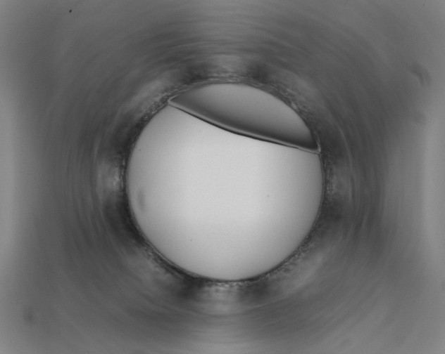 X0000112410084200909110958