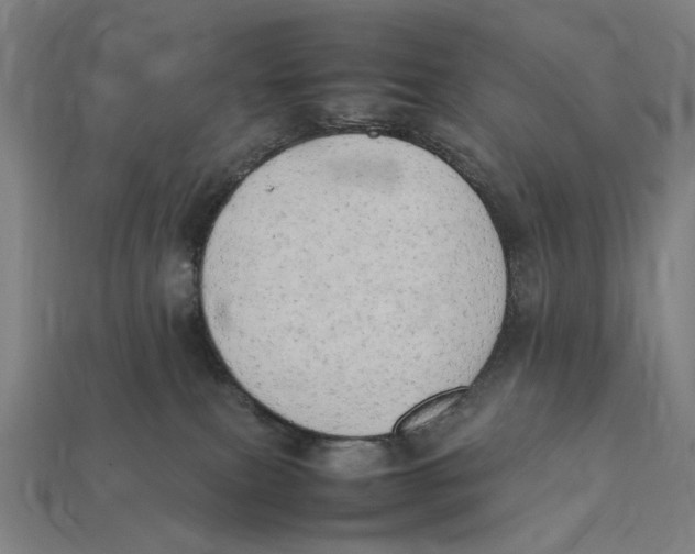 X0000112410087200909110959