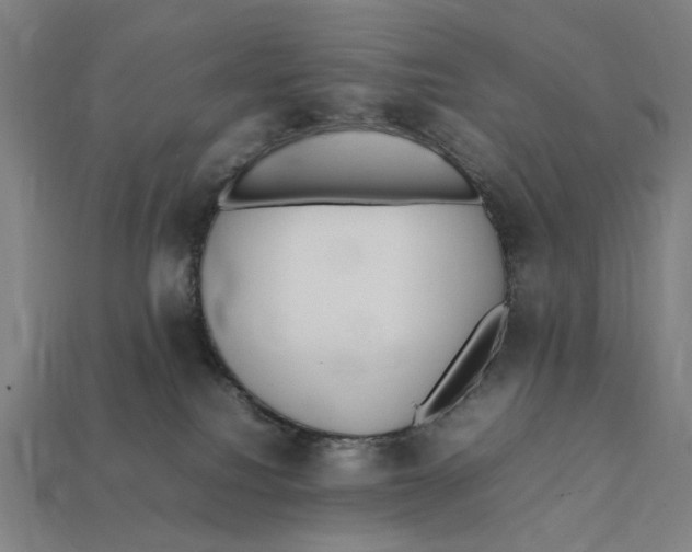 X0000112410088200909110959