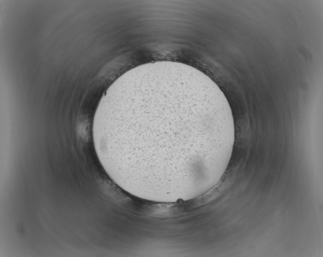 X0000112410090200909110959