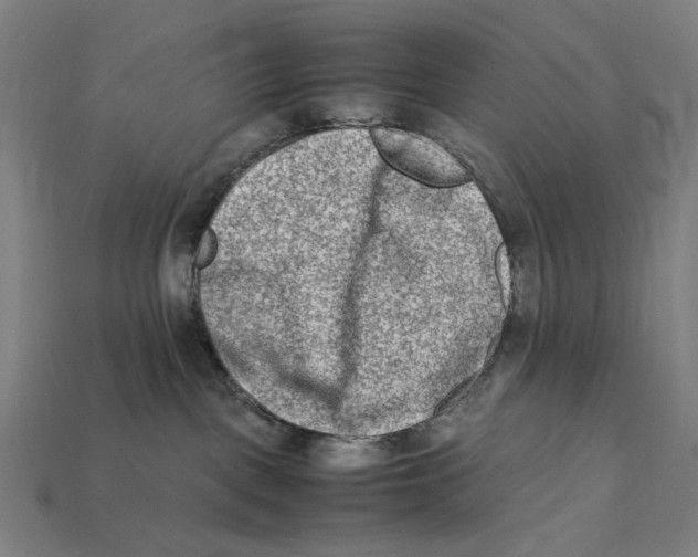 X0000112410093200909110959